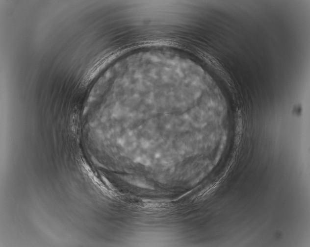 X0000115320985200911301554