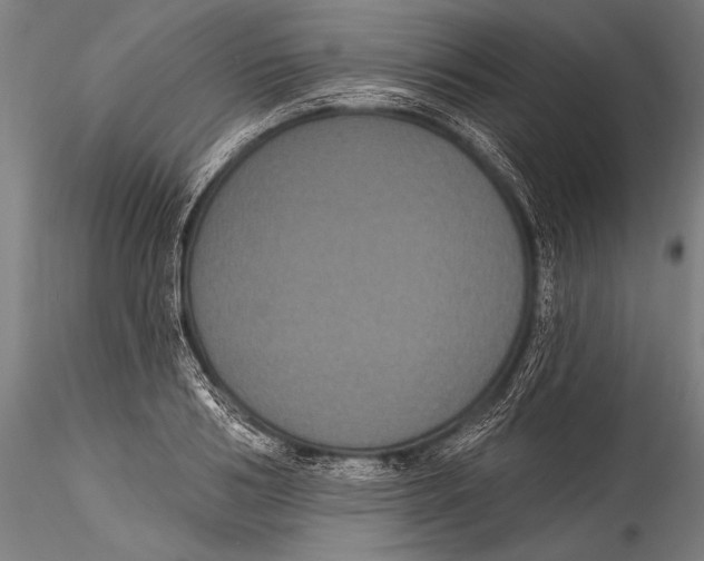 X0000115320986200911301554