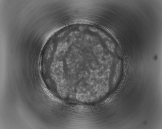 X0000115320987200911301554