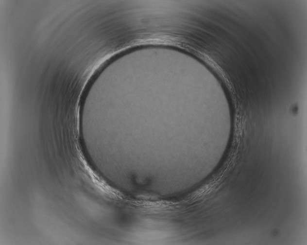 X0000115320988200911301554