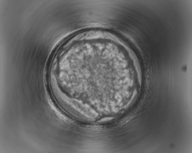 X0000115320991200911301554