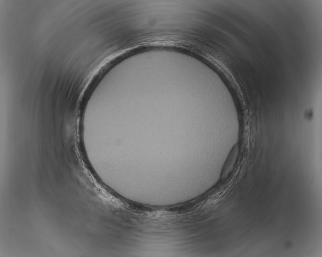 X0000115320992200911301554