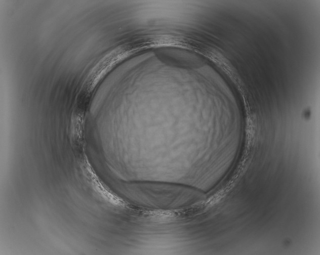 X0000115320993200911301554