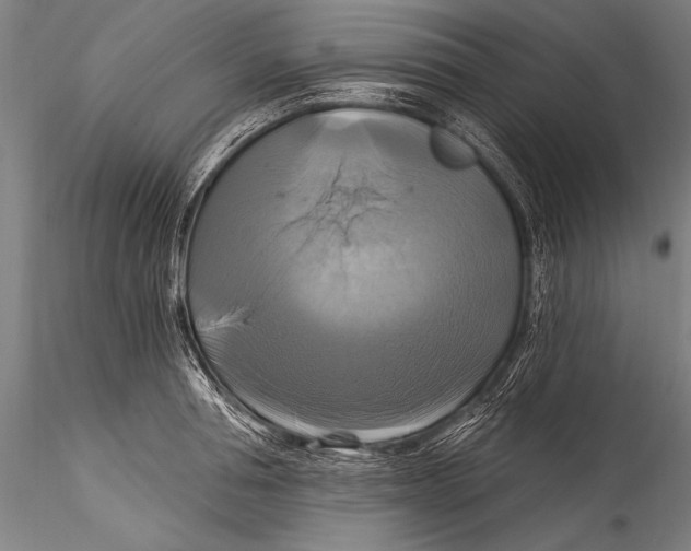 X0000115320994200911301554