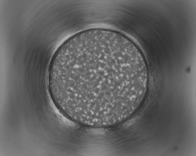 X0000115320999200911301554