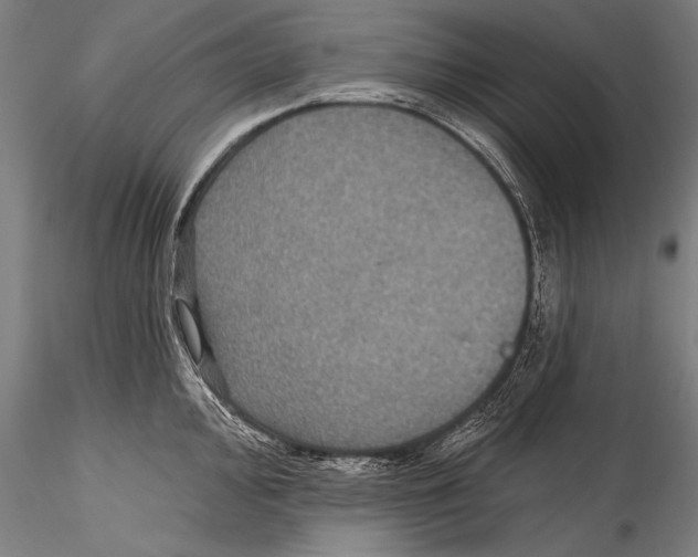 X0000115321000200911301554