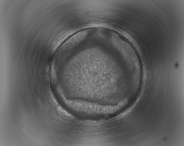 X0000115321001200911301554