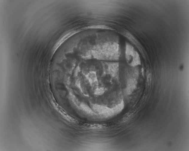 X0000115321002200911301554