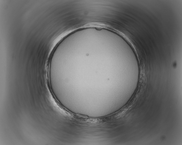 X0000115321003200911301554