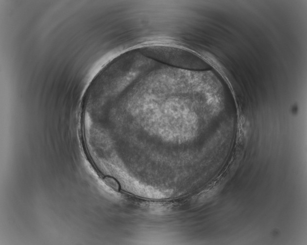 X0000115321005200911301554