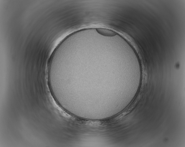 X0000115321006200911301554