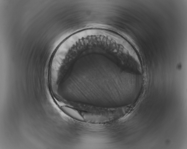 X0000115321007200911301554