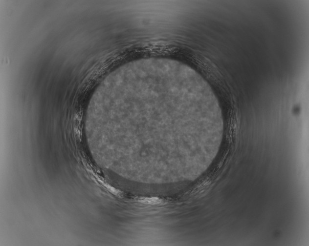 X0000115321010200911301553