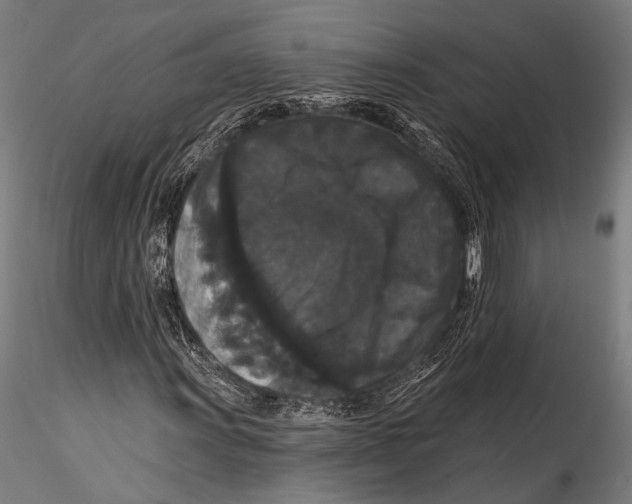 X0000115321011200911301553