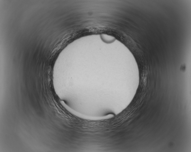 X0000115321012200911301553