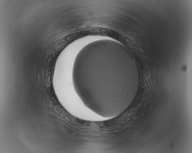 X0000115321013200911301553