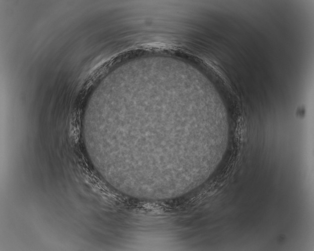 X0000115321015200911301553