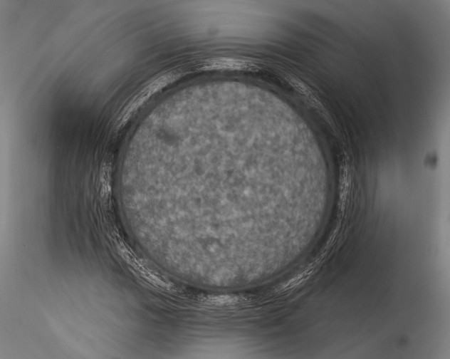 X0000115321017200911301553