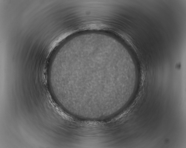 X0000115321018200911301553