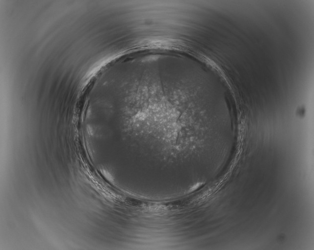 X0000115321019200911301553