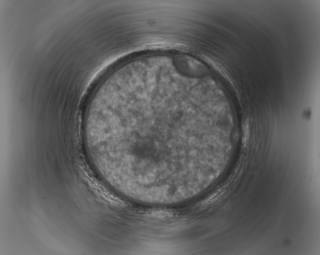 X0000115321021200911301553