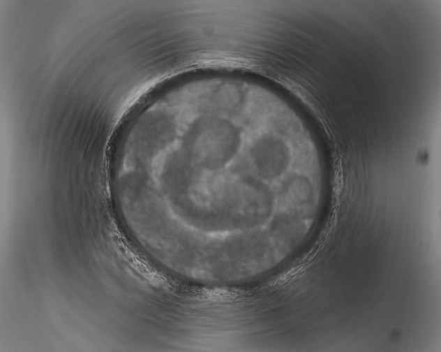 X0000115321022200911301553