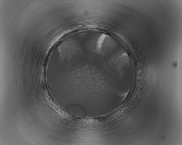 X0000115321023200911301553