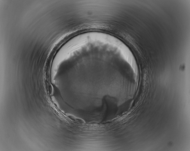 X0000115321024200911301553