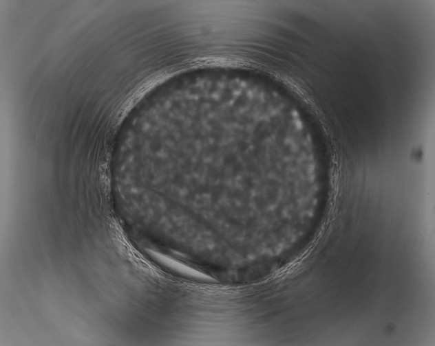 X0000115321025200911301553