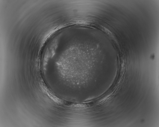 X0000115321027200911301553