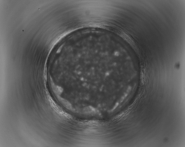 X0000115321028200911301553