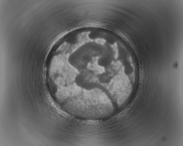 X0000115321029200911301553