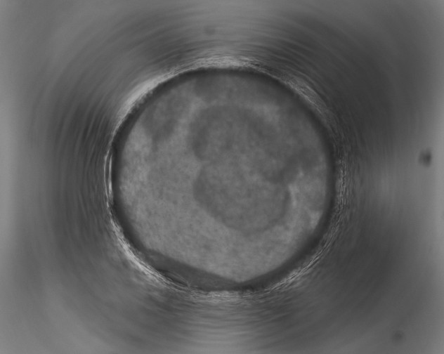 X0000115321030200911301554