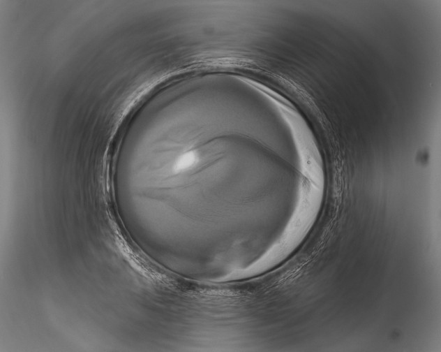 X0000115321031200911301554