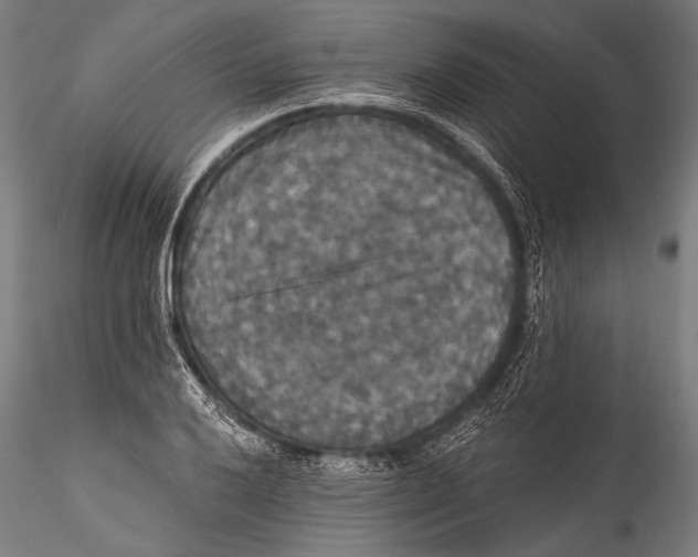 X0000115321032200911301554