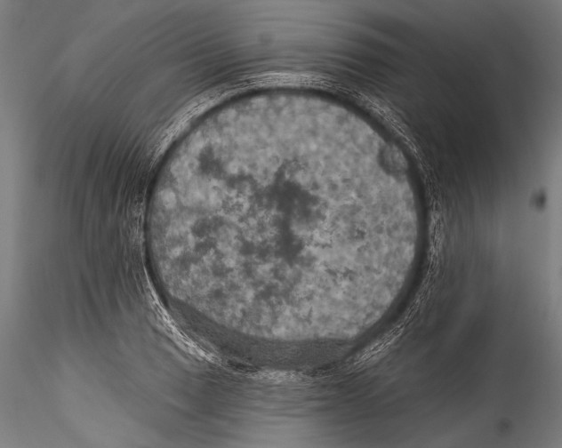 X0000115321033200911301554