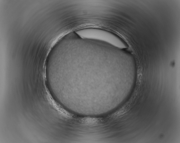 X0000115321034200911301554