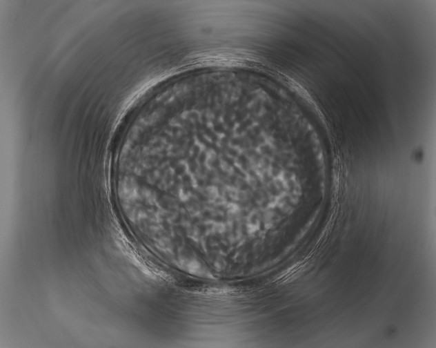 X0000115321035200911301554