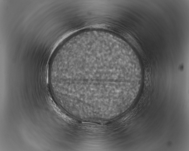 X0000115321036200911301554