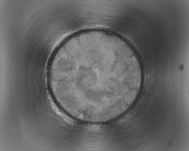 X0000115321038200911301554