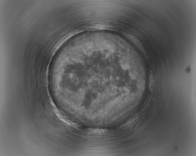 X0000115321039200911301554