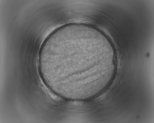 X0000115321040200911301554