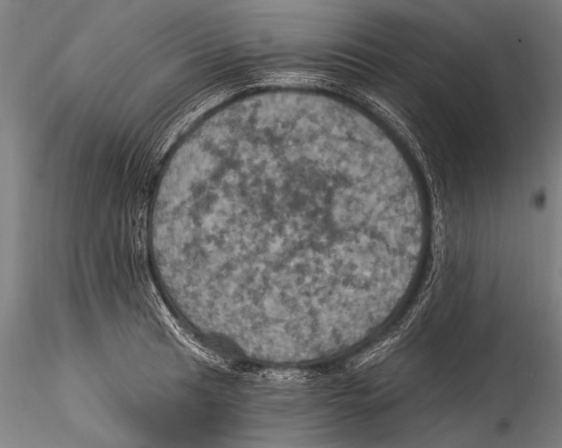 X0000115321041200911301554