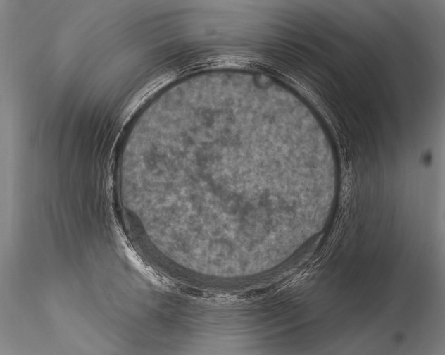 X0000115321042200911301554