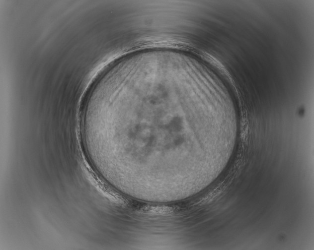 X0000115321043200911301554