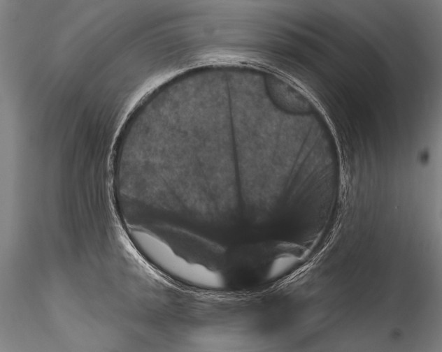 X0000115321045200911301554