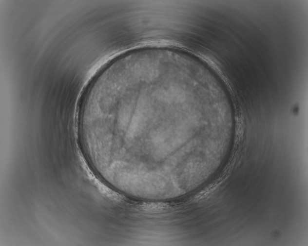 X0000115321046200911301554