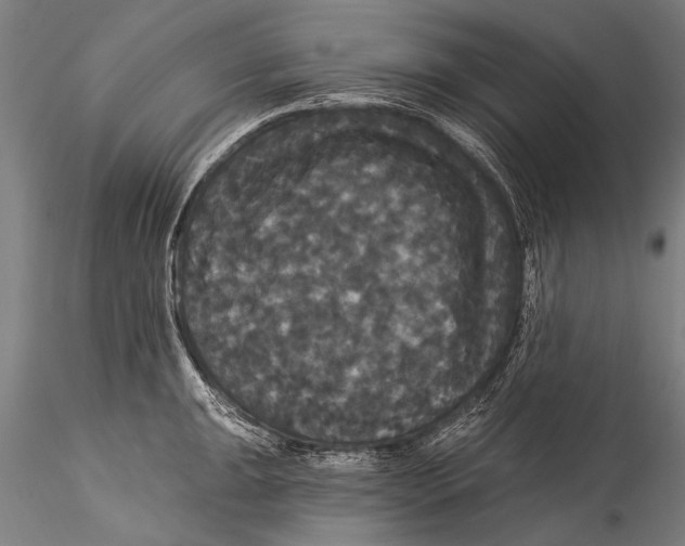 X0000115321047200911301554