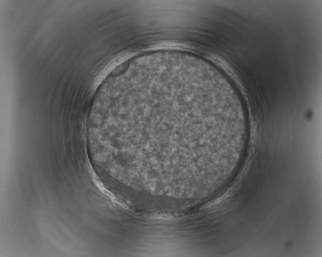 X0000115321049200911301554