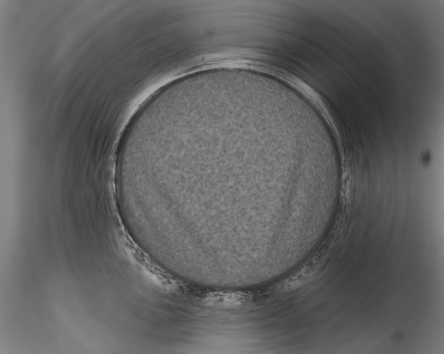 X0000115321051200911301554